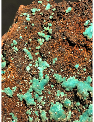 Rosasite,Ojuela mine, Mapimi, Mexico