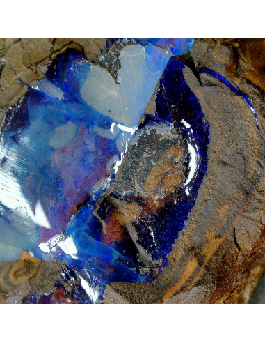 Opal - Wollastoni  Queensland Australia