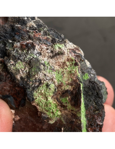 Conichalcite - Cassagna mine Val Graveglia Italy