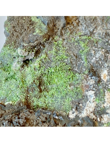 Conichalcite - Cassagna mine Val Graveglia Italy