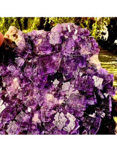 New FIND! - Fluorite - Hastie's quarry, Cave-in-Rock, Illinois