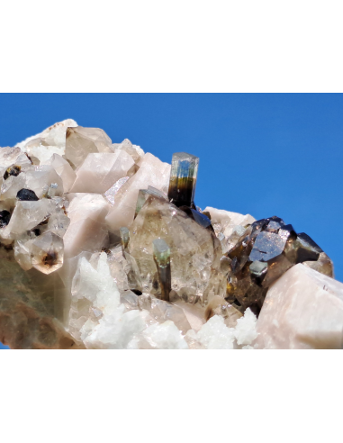 Blue cap Elbaite -  San Piero in Campo Elba Island Italy