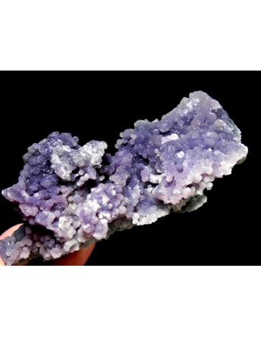 Botryoidal Chalcedony- Manakarra Beach, West Sulawesi, Indonesia