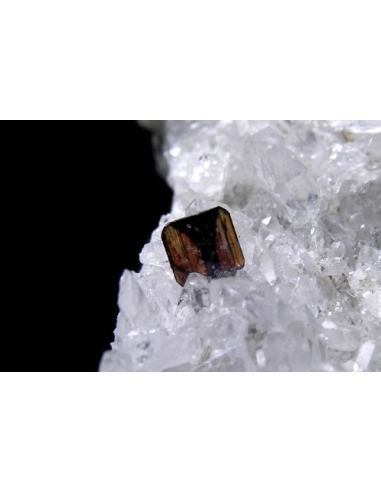 Brookite Quartz -  Scoglina pass Liguria Italy