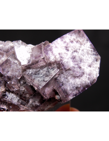 Fluorite  - Greenlaws Mine, Daddry Shield, Stanhope, Co. Durham, England, UK