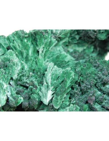 Malachite- Mindingi Mine, Kambove District, Haut-Katanga, DR Congo