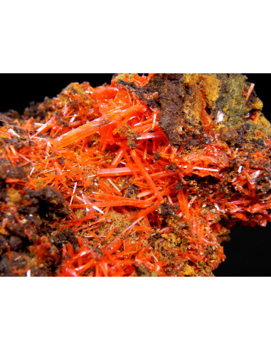 Crocoite  - Adelaide mine Tasmania Australia